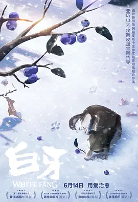 久久最新精品